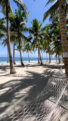 a hammock on the beach with palm trees