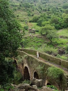 a man walking across a stone bridge in the middle of a lush green field with trees