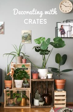 a living room filled with lots of plants and potted plants on top of wooden crates