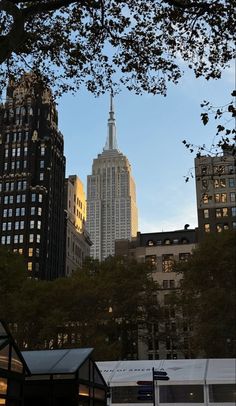 the empire building towering over new york city