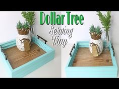 dollar tree sitting on top of a tray with some plants in it and the words dollar tree behind it