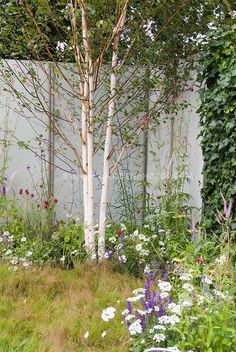 a small tree in the middle of a garden with flowers and plants growing around it