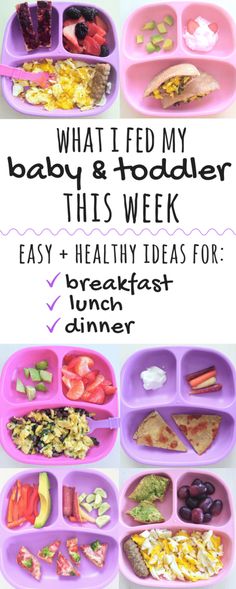 what i fed my baby and toddler this week easy healthy ideas for breakfast lunch dinner