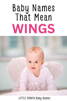 baby names that mean wings with an angel on the front and back of it's head