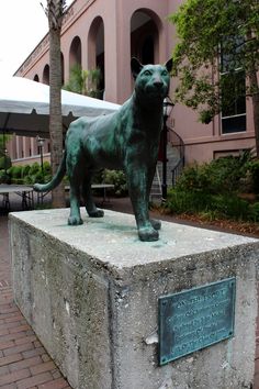 a bronze statue of a cat on display in front of a building