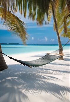 a hammock hanging between two palm trees on a tropical beach with white sand