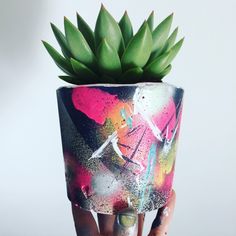 a hand holding a small potted plant with colorful paint splattered on it