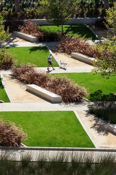 an aerial view of a person walking in the grass