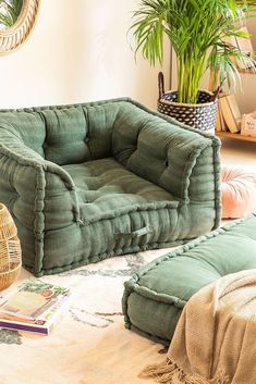 a green dog bed sitting on top of a rug next to a potted plant