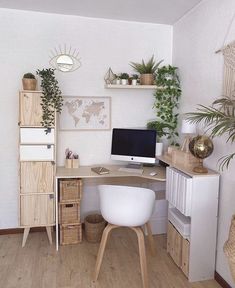 a desk with a computer on top of it next to a shelf filled with potted plants