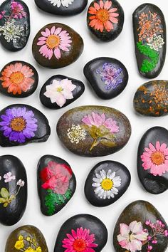 several rocks with flowers painted on them are arranged in the shape of heart shaped stones