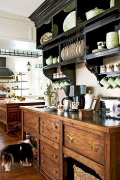 a dog standing in front of a kitchen counter with plates and bowls on top of it