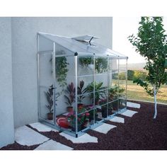 there is a small greenhouse with plants in the house and on the ground next to it