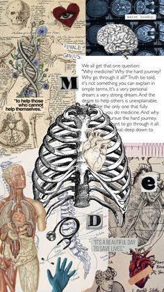 an image of the human body with many different things in it, including hands and fingers