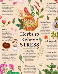 Herbalism For Beginners, Wood Betony, Kava Kava, Funny Situations, Medicinal Herbs Garden, Herbs Garden, Holistic Diet, Essential Oils Herbs, Natural Healing Remedies