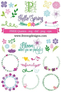 flowers and leaves with the words hello spring on them are in different font styles, but not