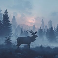 Elk Pictures: Untamed Beauty in 4K Detail Elk Silhouette, Adventure Art, Wildlife Artists, Breathtaking Beauty, Nature Art Painting, Raw Beauty, The Untamed, Natural Phenomena