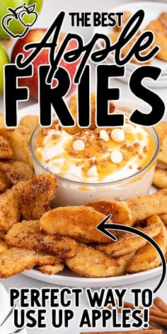 the best apple fries perfect way to use up apples for desserts and appetizers