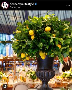 a large vase filled with lemons on top of a table