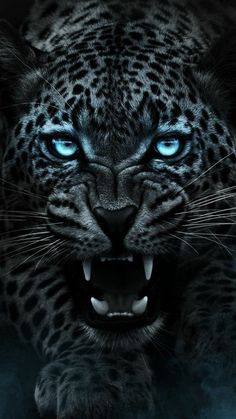 a black and white leopard with blue eyes is shown in the dark, it's mouth