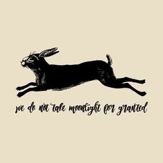 Kindle Quotes, Chalkboard Art Quotes, Hare Painting, Font Illustration, Dark Soul