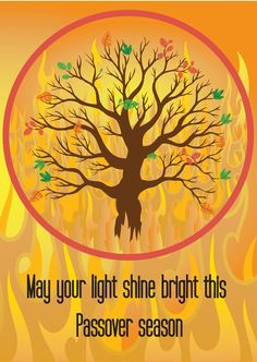 a tree with the words may your light shine bright this passover season