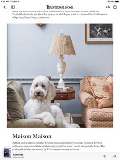 a white dog sitting on top of a chair next to a lamp