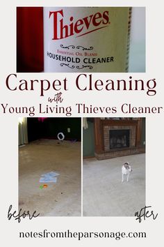 carpet cleaning with young living thieves cleaner