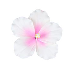 a white and pink flower on a white background