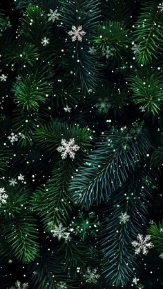 snowflakes and pine needles on a black background