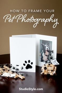 White photo folder with picture of an alert border collie has a paw print stamped on the front cover. Two paw print clear cello bags sit on both sides of the photo folder, each filled with dog treats. Framing Photos, Dog Themed Birthday Party, Pet Pictures, Photo Folder, Paw Print Design, Paper Photo, Pet Photography, Animal Hospital, Dog Themed