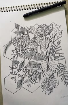 a pencil drawing of some plants on a piece of paper