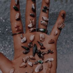 a person's hand covered in sea shells