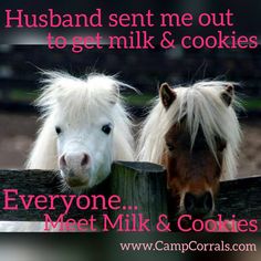 two horses standing next to each other behind a fence with the caption everyone meet milk and cookies