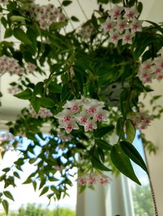 a vase filled with white and pink flowers sitting on top of a table next to a window