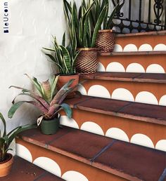 some potted plants are sitting on the steps