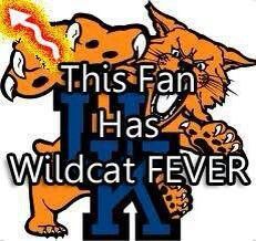 this fan has wildcat fever on it's back and the logo is orange