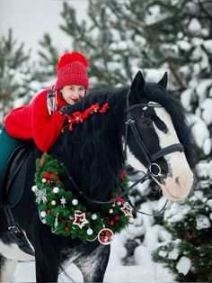 #horse #xmas #christmas #winter #red #snow #clydesdales Horse Christmas Pictures Families, Horse Winter Photoshoot, Christmas Pictures With Horses, Horse Christmas Photoshoot, Christmas Horse Photoshoot, Xmas Postcard, Horses Christmas, Horse Photoshoot Ideas, Horse Photoshoot