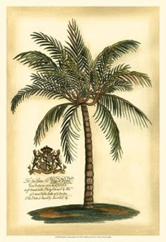 a drawing of a palm tree with an emblem on the top and bottom half of it