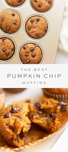 the best pumpkin chip muffins recipe is in a muffin pan with chocolate chips