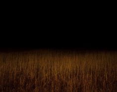 an empty field with tall grass in the foreground and a dark sky above it