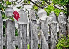 a red flower sitting on top of a wooden fence