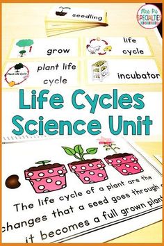 life cycles science unit with pictures and text on the front, along with other activities