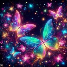 colorful butterflies flying through the night sky