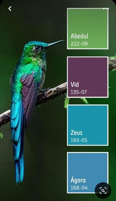 a bird sitting on top of a tree branch next to color swatches in different colors