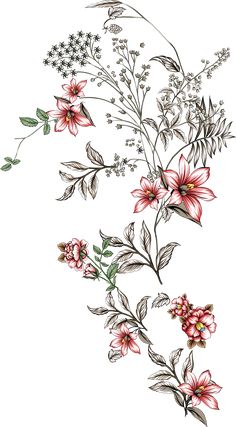 a drawing of flowers and leaves on a white background