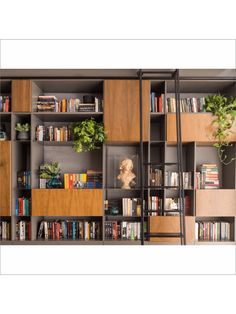 the bookshelf has many different types of books on it, including plants and books