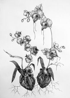 a drawing of two heart shaped flowers with roots