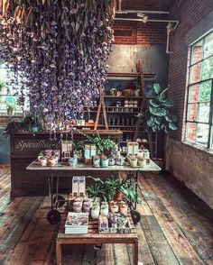 an image of a store with plants on the shelf and other items in front of it