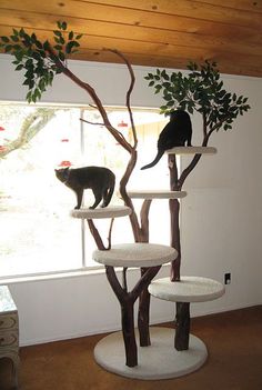 two cats are sitting on top of the cat tree in the living room, and one is looking out the window